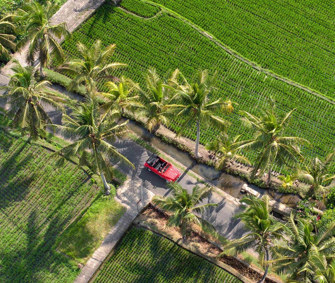 Wakanda Vintage Voyage